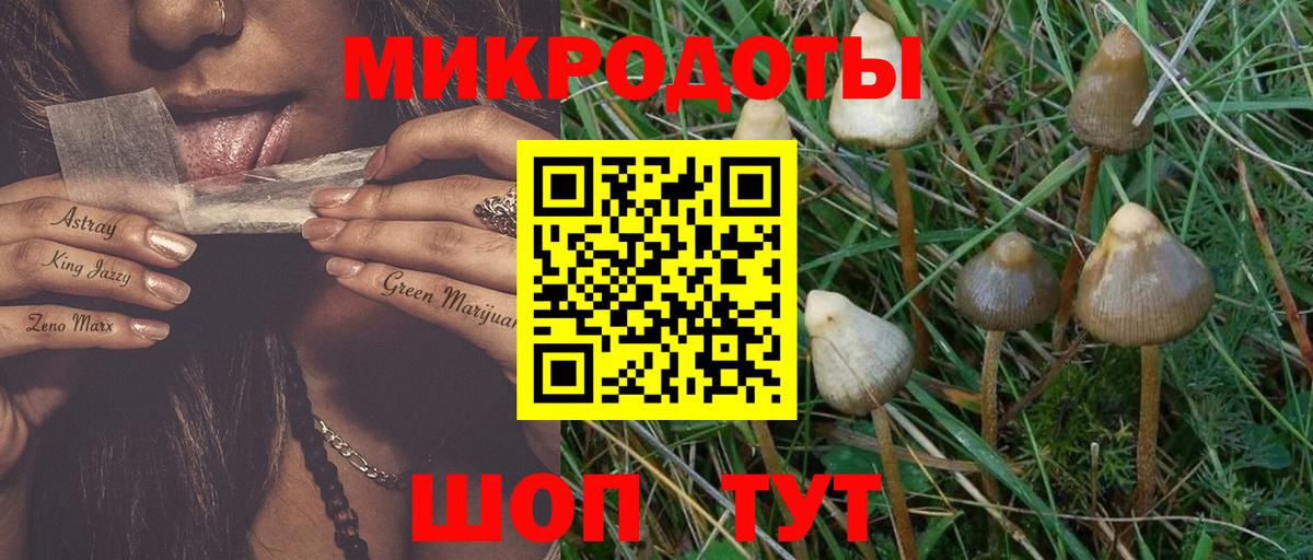 Шадринск  Галлюциногенные грибы мухоморы  закладка  Вход с VPN 