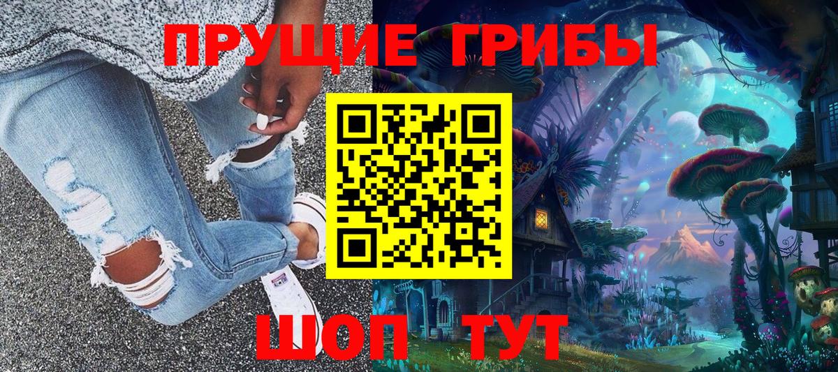 Галлюциногенные грибы Cubensis Шадринск